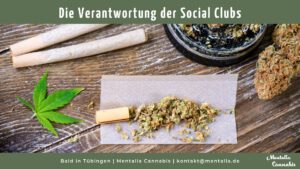 Die Verantwortung der Cannabis Social Clubs